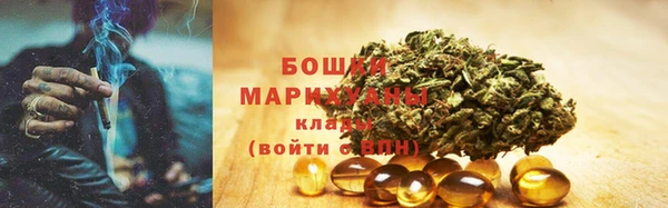ГАЛЛЮЦИНОГЕННЫЕ ГРИБЫ Алексин