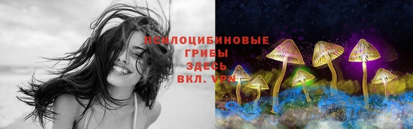 таблы Алзамай