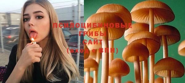 ГАЛЛЮЦИНОГЕННЫЕ ГРИБЫ Алексин