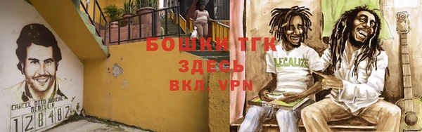 ГАЛЛЮЦИНОГЕННЫЕ ГРИБЫ Алексин